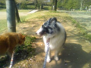 c0150520_10161478.jpg
