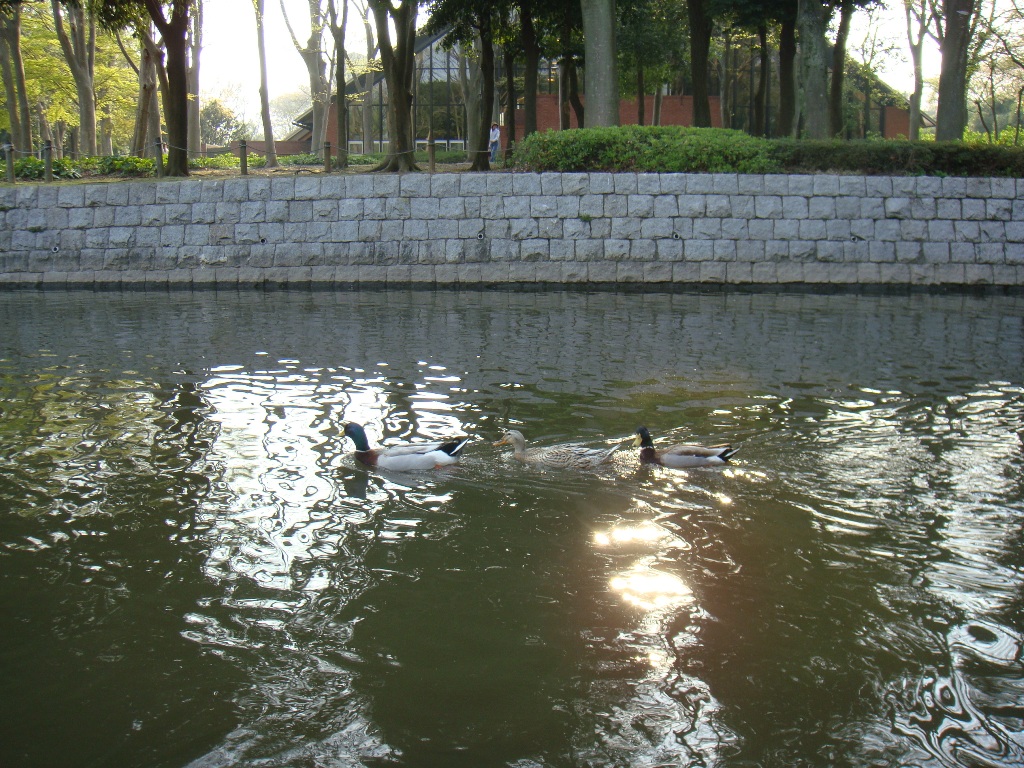 f0114520_21224737.jpg