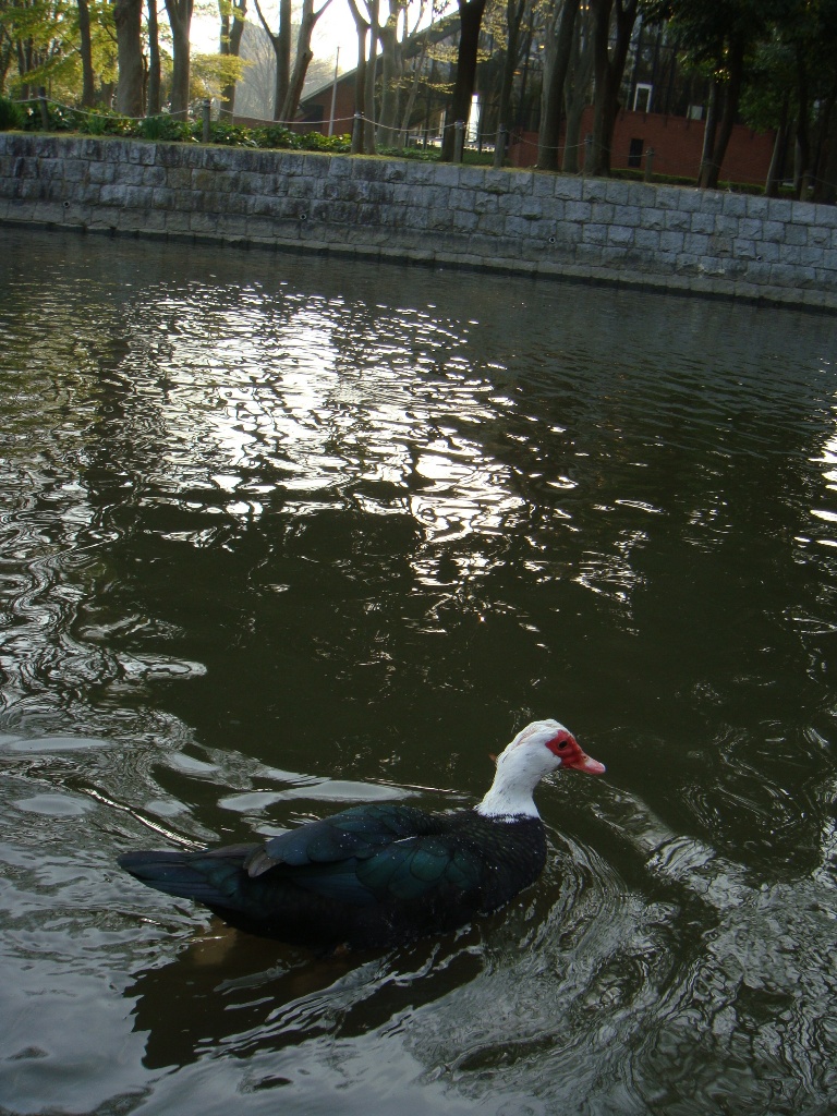 f0114520_2123164.jpg