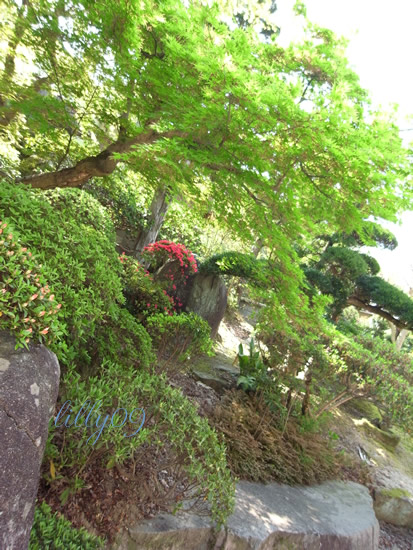 c0198321_832796.jpg