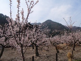 f0022024_21363236.jpg
