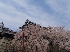f0022024_21573349.jpg