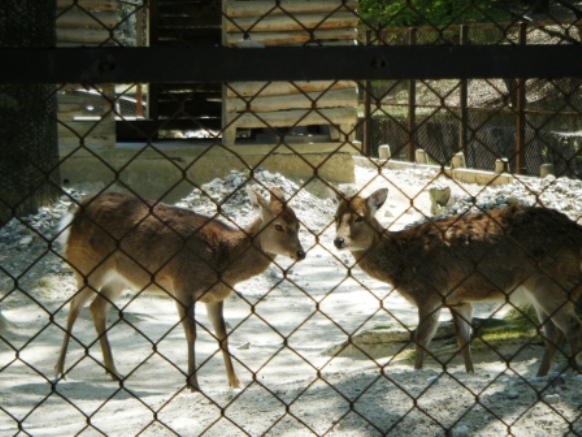 e0024126_20473061.jpg