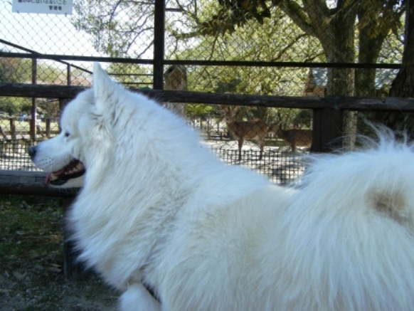 e0024126_20492564.jpg