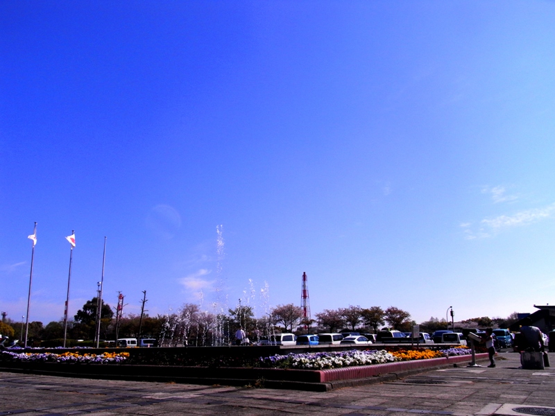 f0192226_1911610.jpg