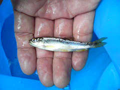 e0002927_10403833.jpg
