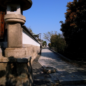 f0151327_92054100.jpg