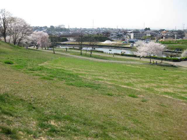 b0170128_11345830.jpg