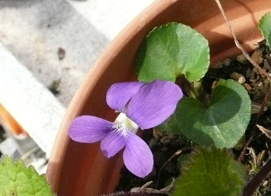 e0033229_2285782.jpg