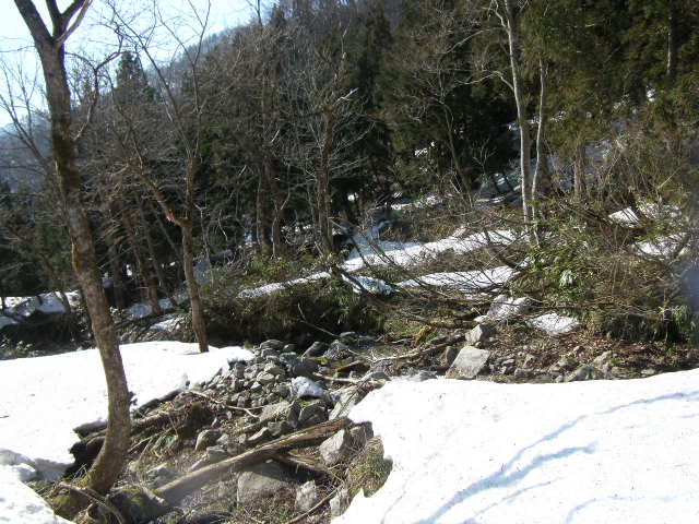 a0119132_17385229.jpg