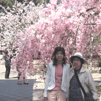 d0033734_14293063.gif
