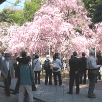 d0033734_1440161.gif