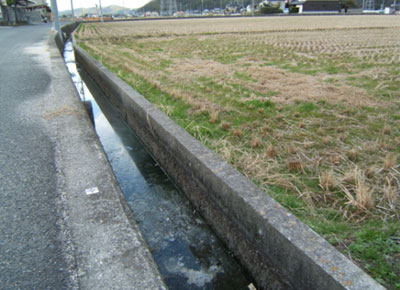 f0192236_2304175.jpg
