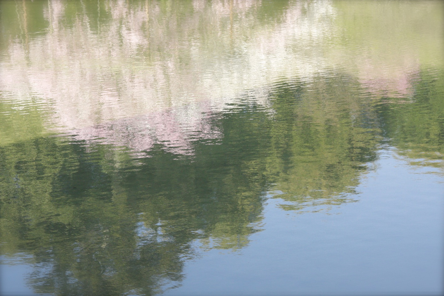 a0072337_20202612.jpg