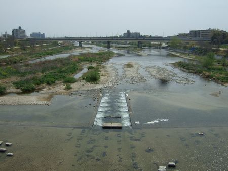 e0061437_1724548.jpg