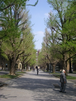 d0136439_3554789.jpg