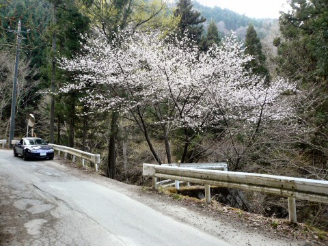 f0068341_21463356.jpg