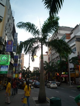 b0041442_705586.jpg