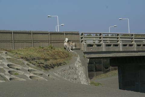 e0143442_116124.jpg