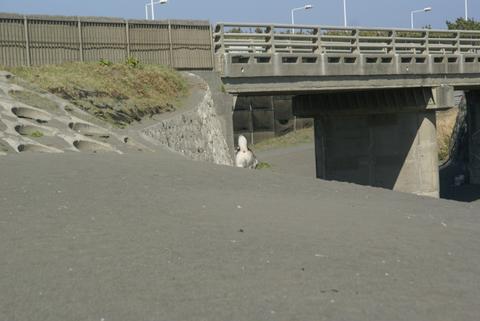 e0143442_1163038.jpg