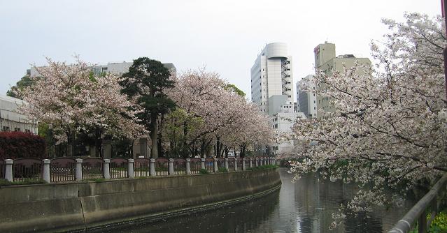 b0028845_23481316.jpg