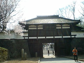 c0011446_1724527.jpg
