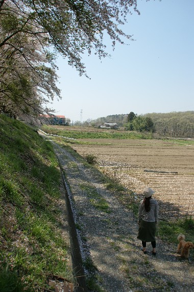 b0140347_2111403.jpg