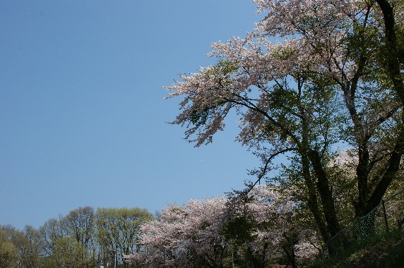 b0140347_21122812.jpg