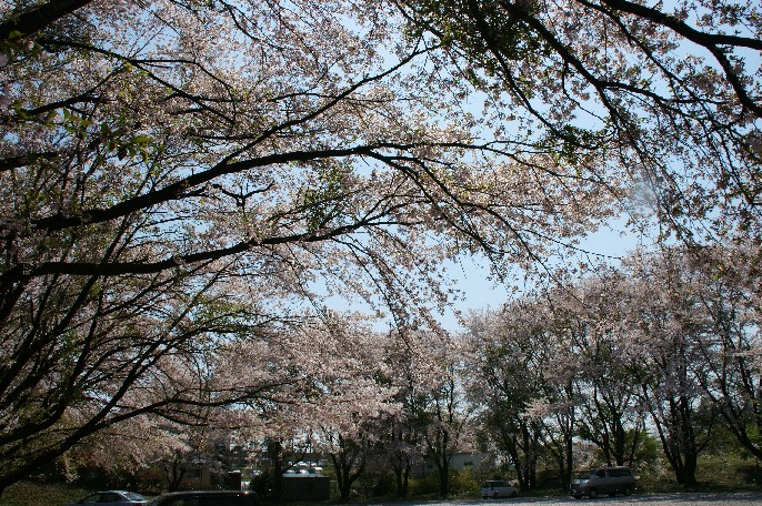 b0140347_211255.jpg