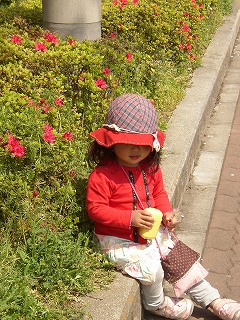 a0068350_0194246.jpg