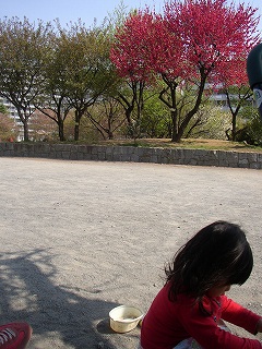 a0068350_0305079.jpg