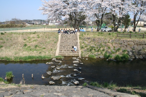 a0048851_044106.jpg