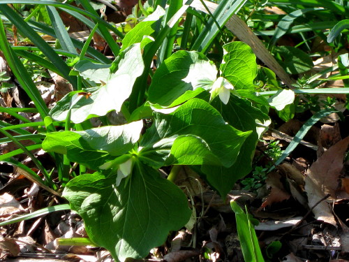 c0179351_18414339.jpg