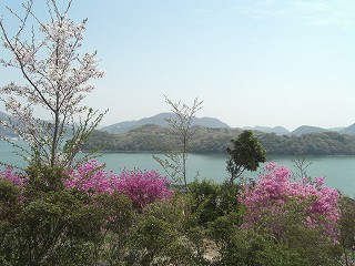 f0009451_136432.jpg