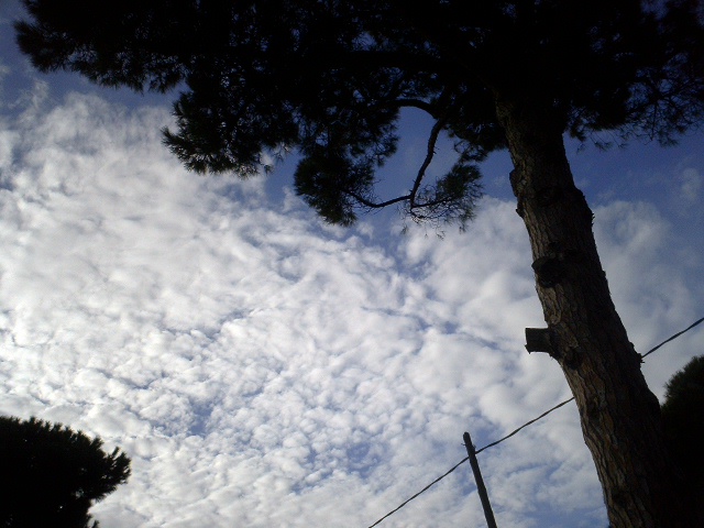 d0061952_6382769.jpg