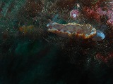 d0076952_1953644.jpg