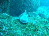 d0076952_19541142.jpg
