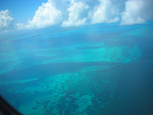 e0176457_833329.jpg