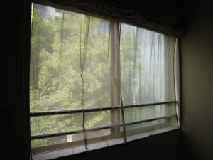 c0153259_11461028.jpg