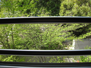 c0153259_1146159.jpg