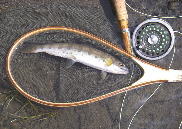 b0053660_14273642.jpg