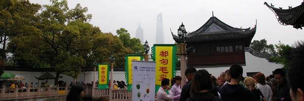c0062361_8155269.jpg