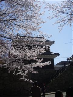 a0118264_14402779.jpg