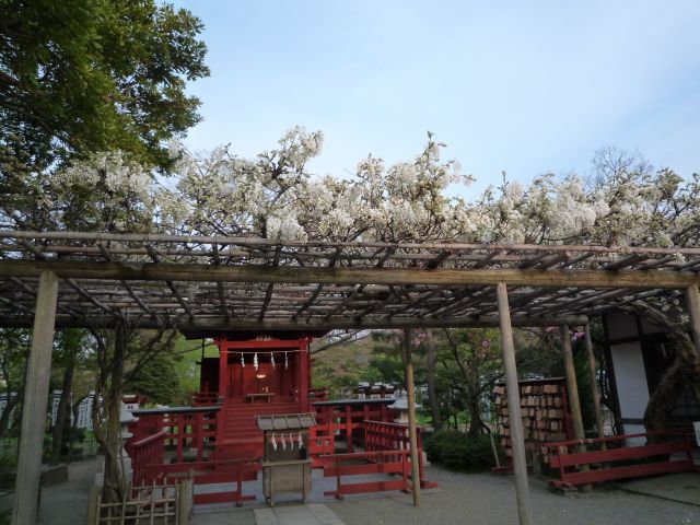 b0141664_23113168.jpg