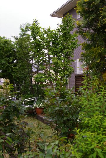 f0159267_1949913.jpg