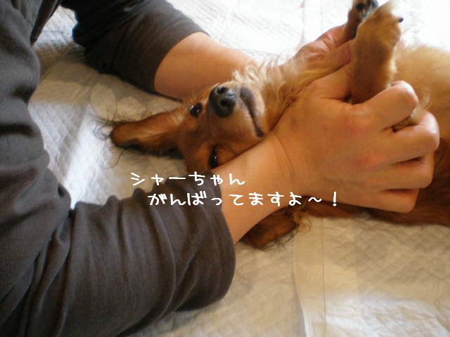 c0138069_0471094.jpg