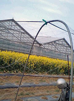 e0063270_21521696.jpg