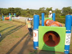 e0078370_0592418.jpg