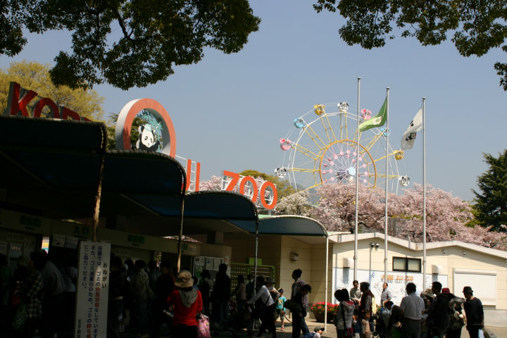 d0079373_15525713.jpg