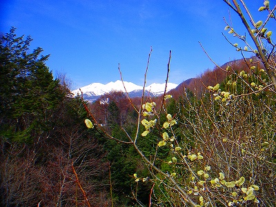 f0182173_1112320.jpg